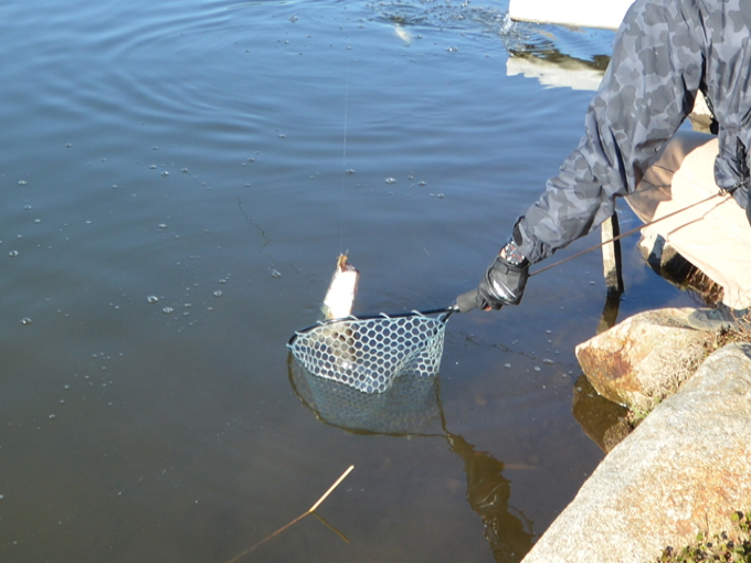 photo-11